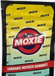 Tropical Mango Gummies | H | 100mg | 10pk