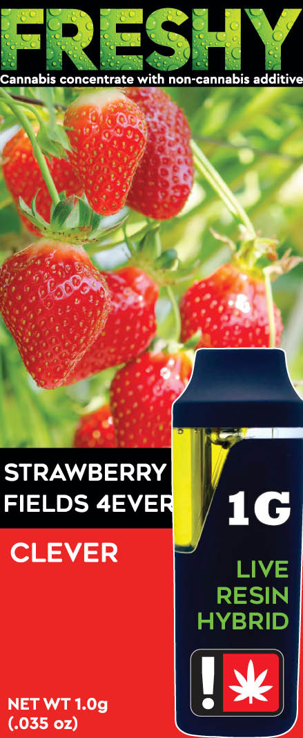Strawberry Fields 4Ever Disposable AIO