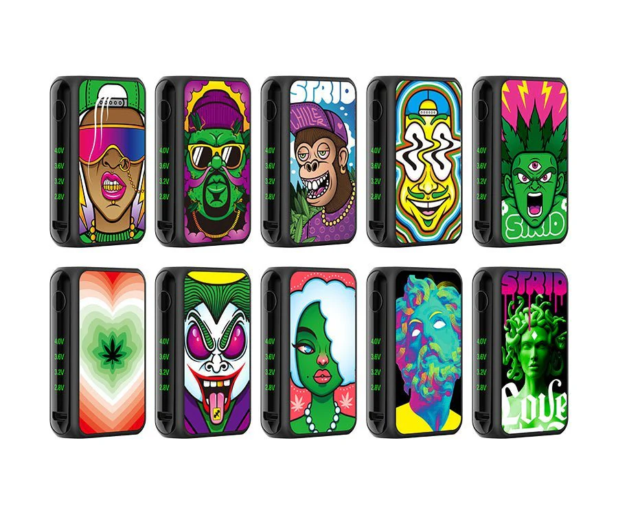 Bolt Upgraded Battery