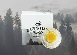 Elysium Fields | SLEEPING GAS Live Resin