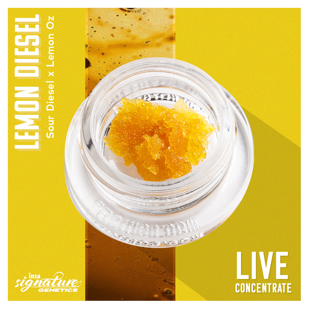 Lemon Diesel Live Sugar