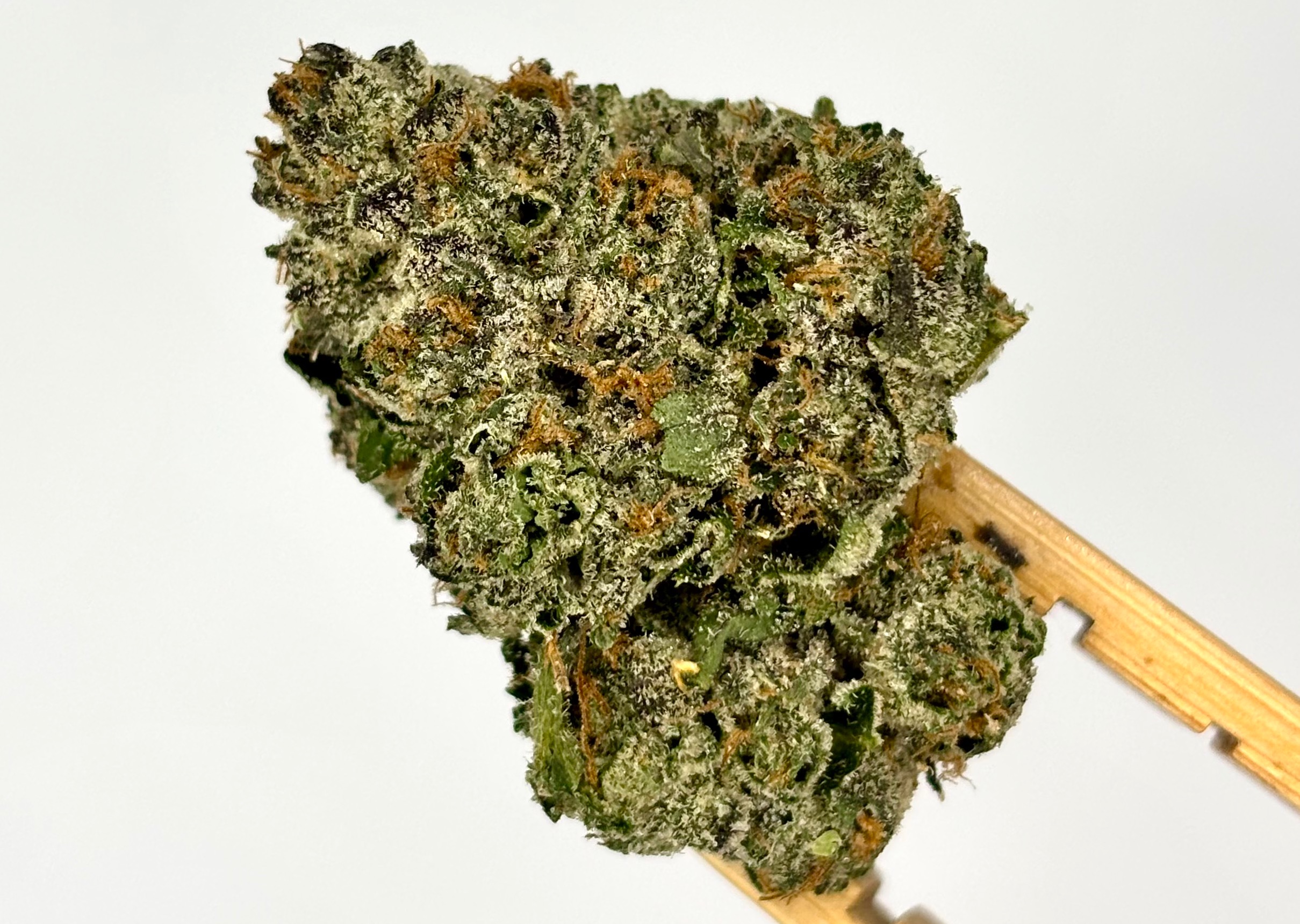 White Runtz #3 | Bulk Flower | Platinum Tier