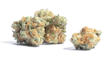 Flower Case | Pre-Packed