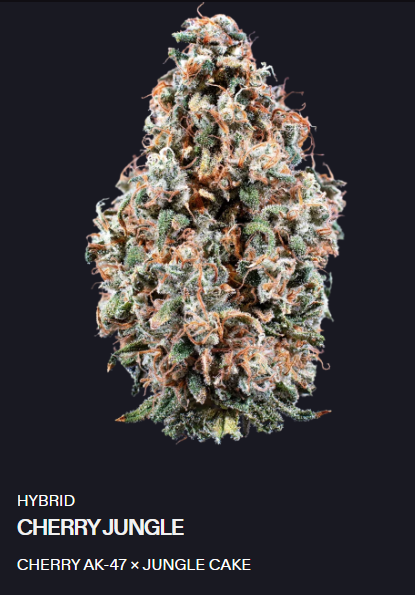 Cherry Jungle