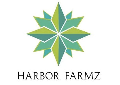 Harbor Farmz HTE Terp Sauce Brush - Overtime