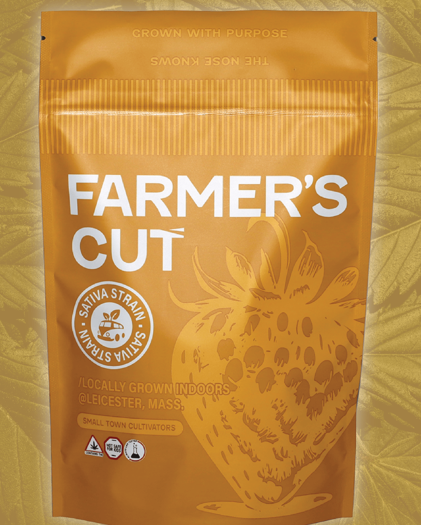Glazed Apricot Lime | Popcorn | 28g