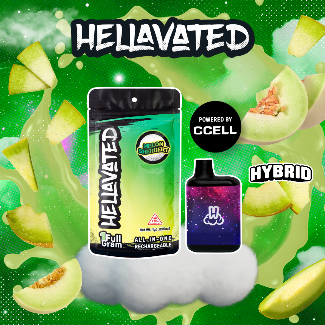 Melon Sherbert Cloud Bar Rechargeable Disposable 1g