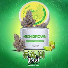 MICHIGROWN F.A.H. REAL JAR 14g