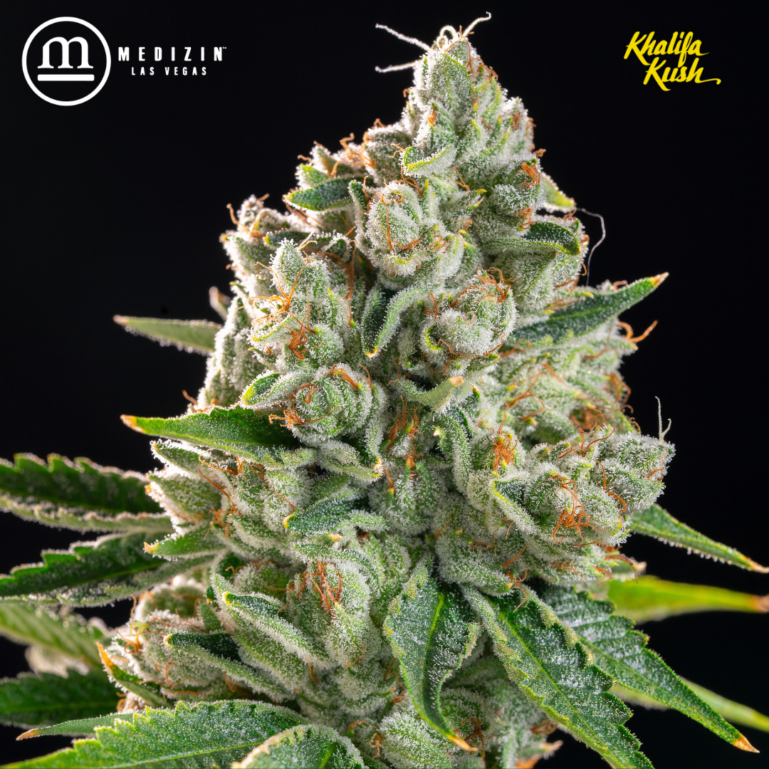Khalifa Yellow Khalifa Kush 14g Smalls Prepack