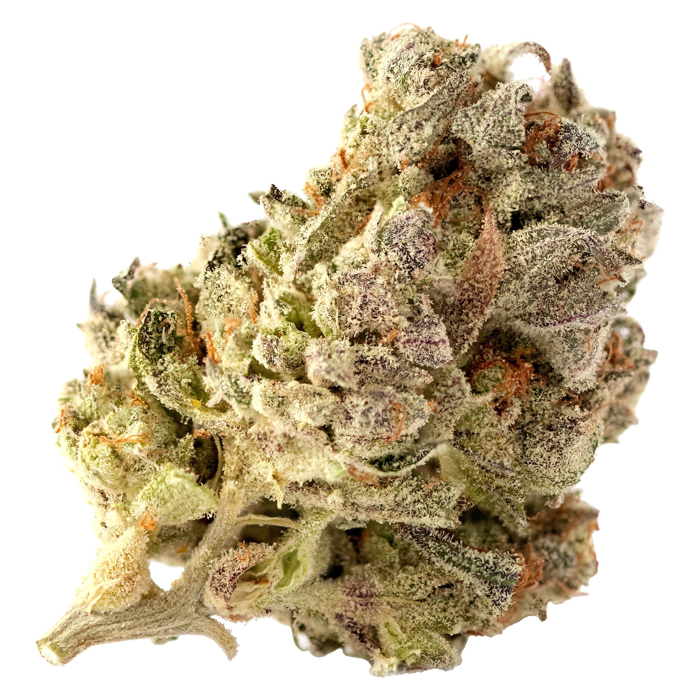 Highland Special - Cherry Park Pie - Hybrid - 7g