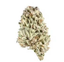 (2) Corner Store: Limesicle (S)