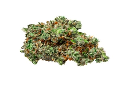 BOLD - Root Beer Float 3.5g