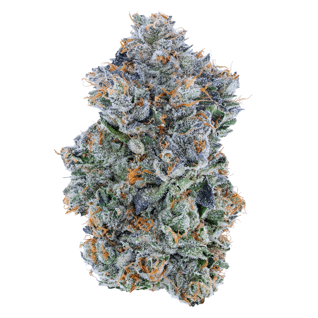 FLOWER - - BLUE FACE