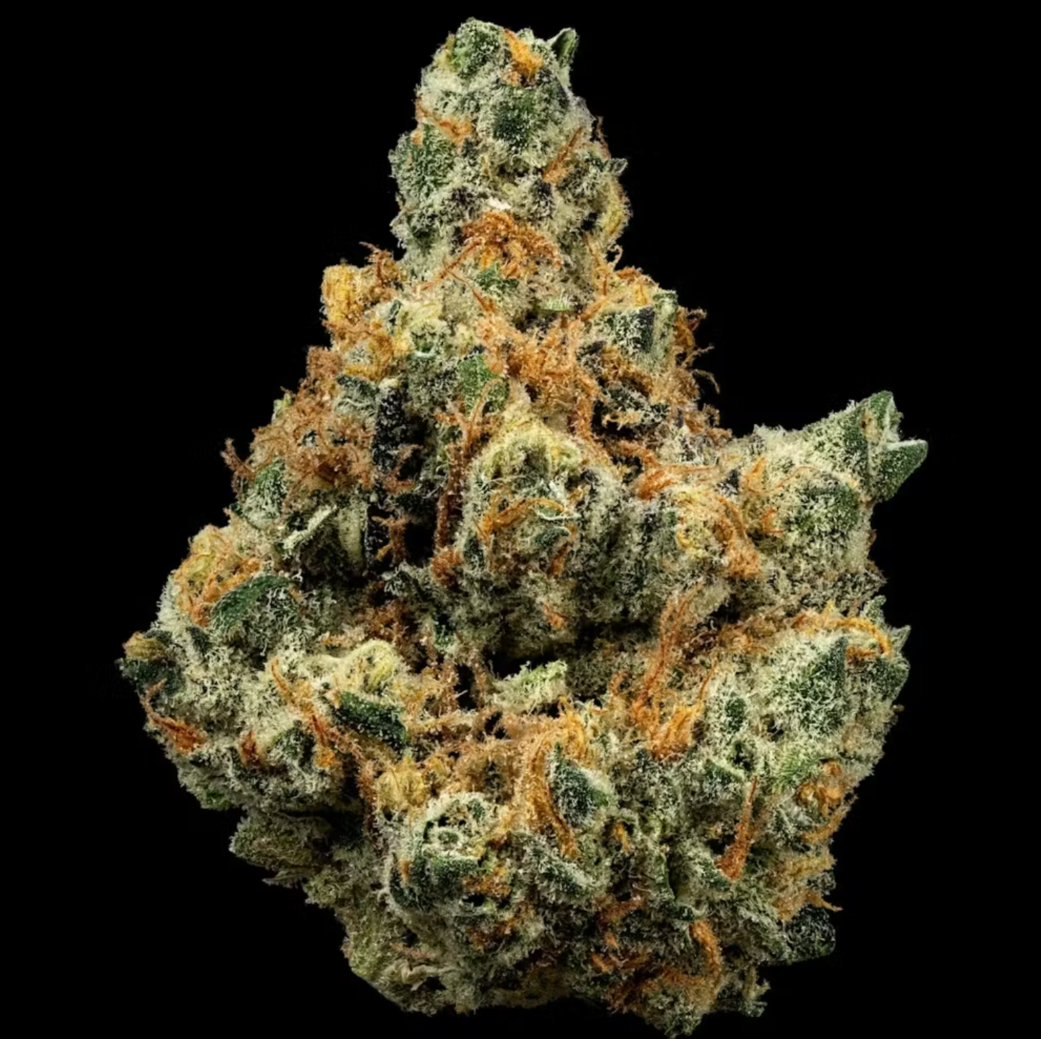 Garlic Breath | 3.5g