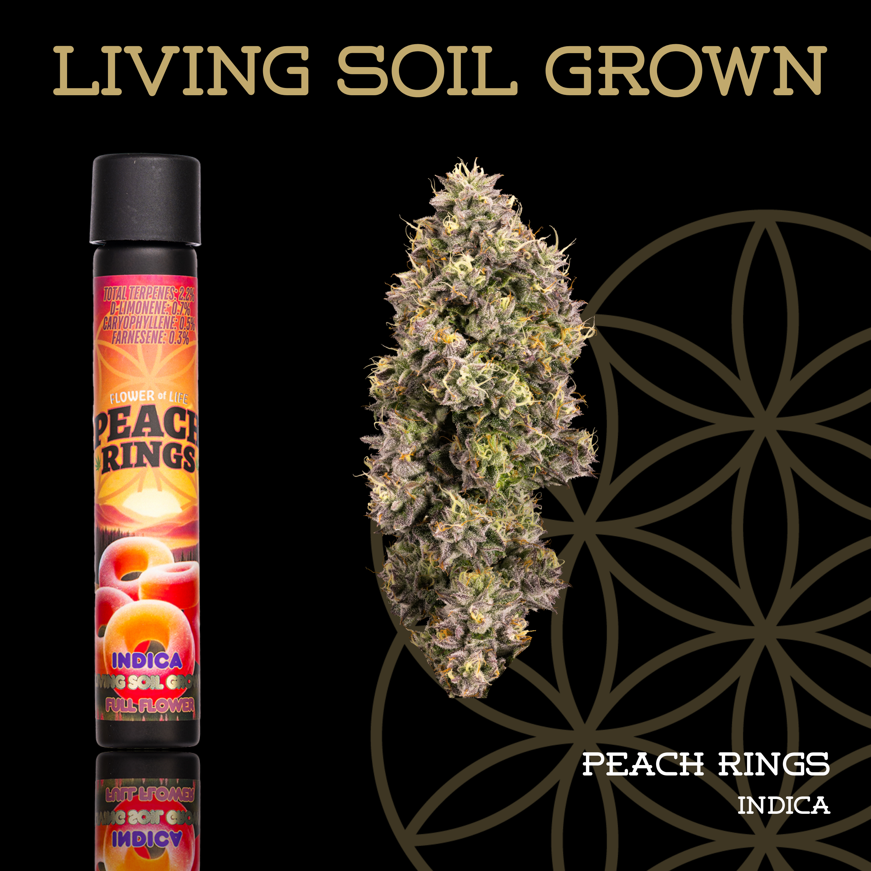 Flower of Life - Peach Rings - Pre Roll