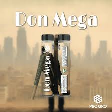 DON MEGA | HYBRID | PRE-ROLL | 1G | REC