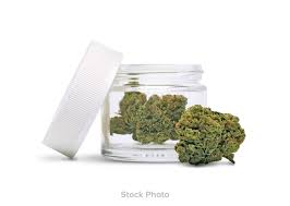 Miracle Alien Cookies - Oregon Roots - Gold
