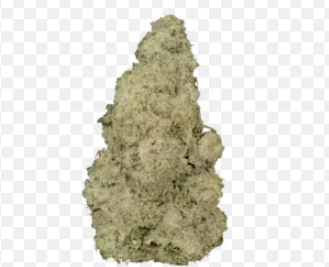 UPLYFTED | BANACONDA | BULK | SATIVA