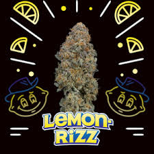 Lemon Rizz | 1g | Pre-Roll