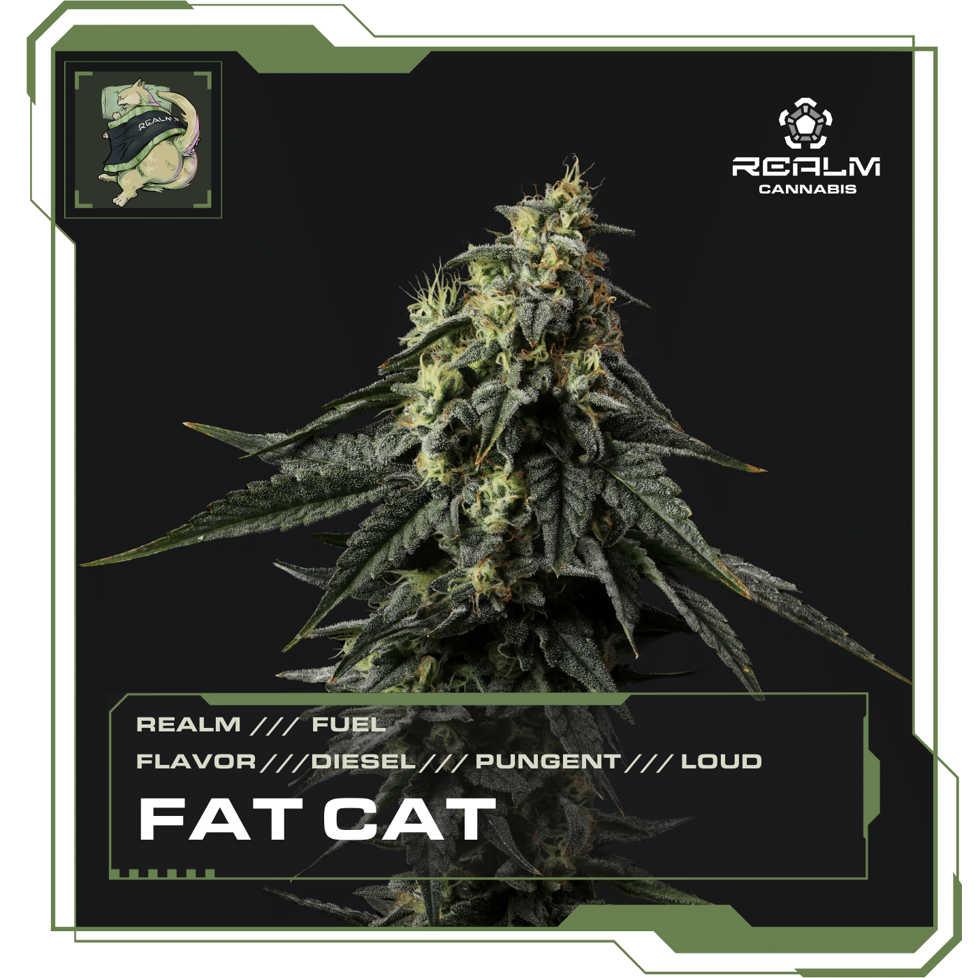 Fat Cat | Fuel | 3.5g