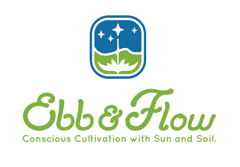 Sun Lounger (23%) - Ebb & Flow