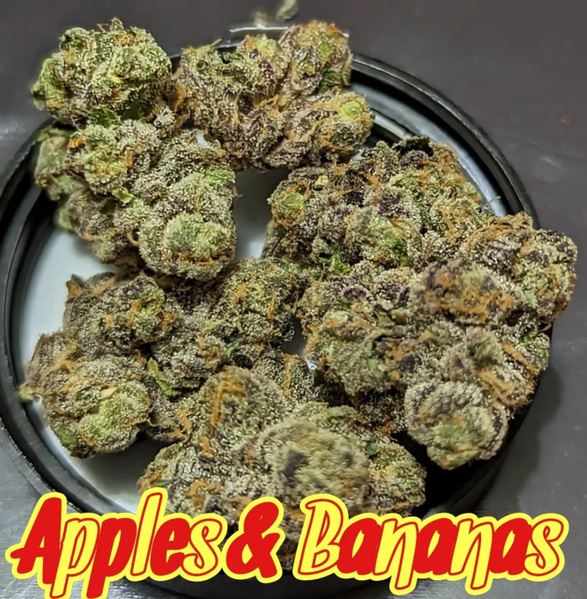 Apples &  Bananas Buds (MMS - Green)