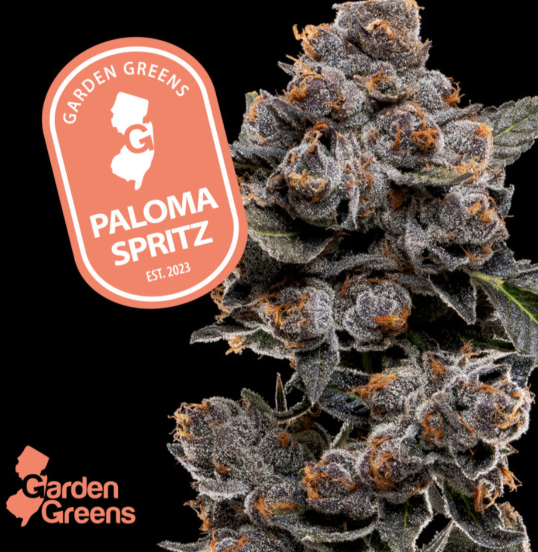 Flower - Paloma Spritz - Garden Greens - REC