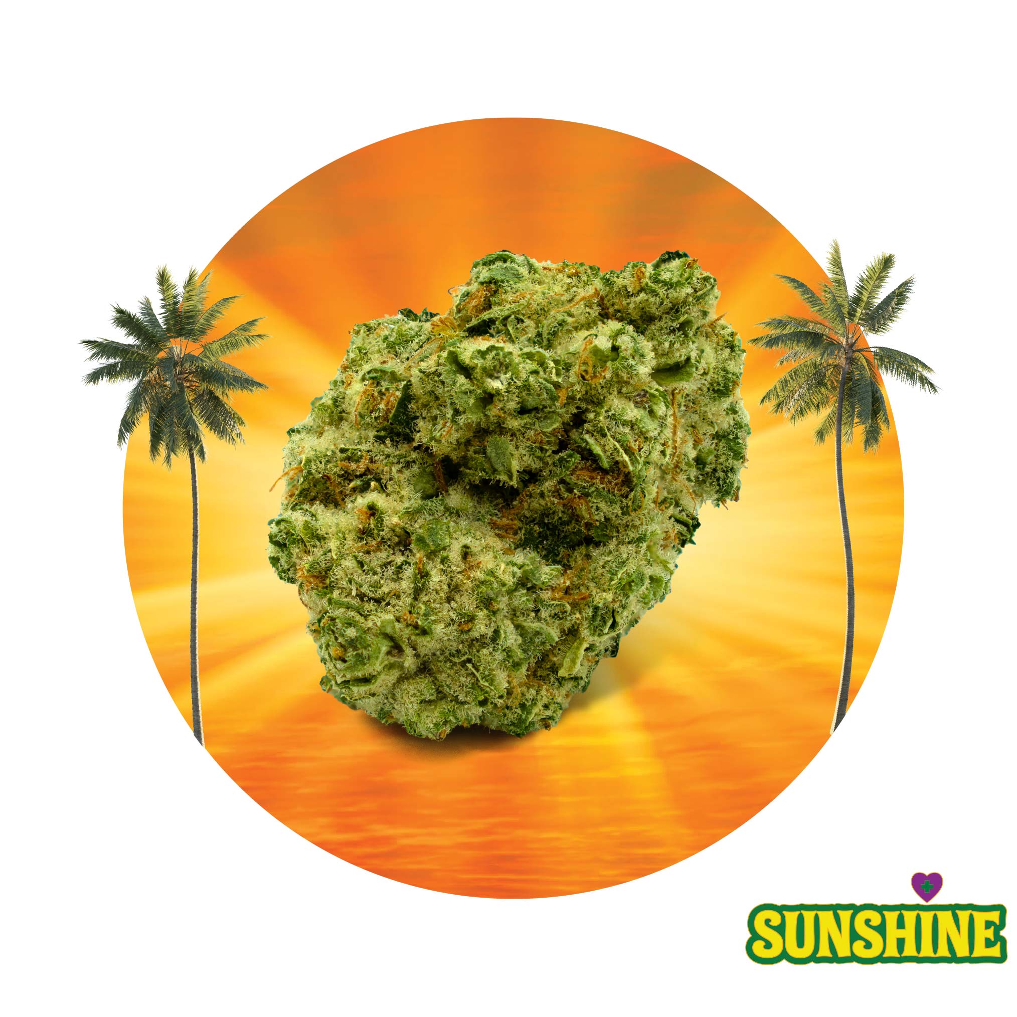 White Sunshine Flower 3.5g