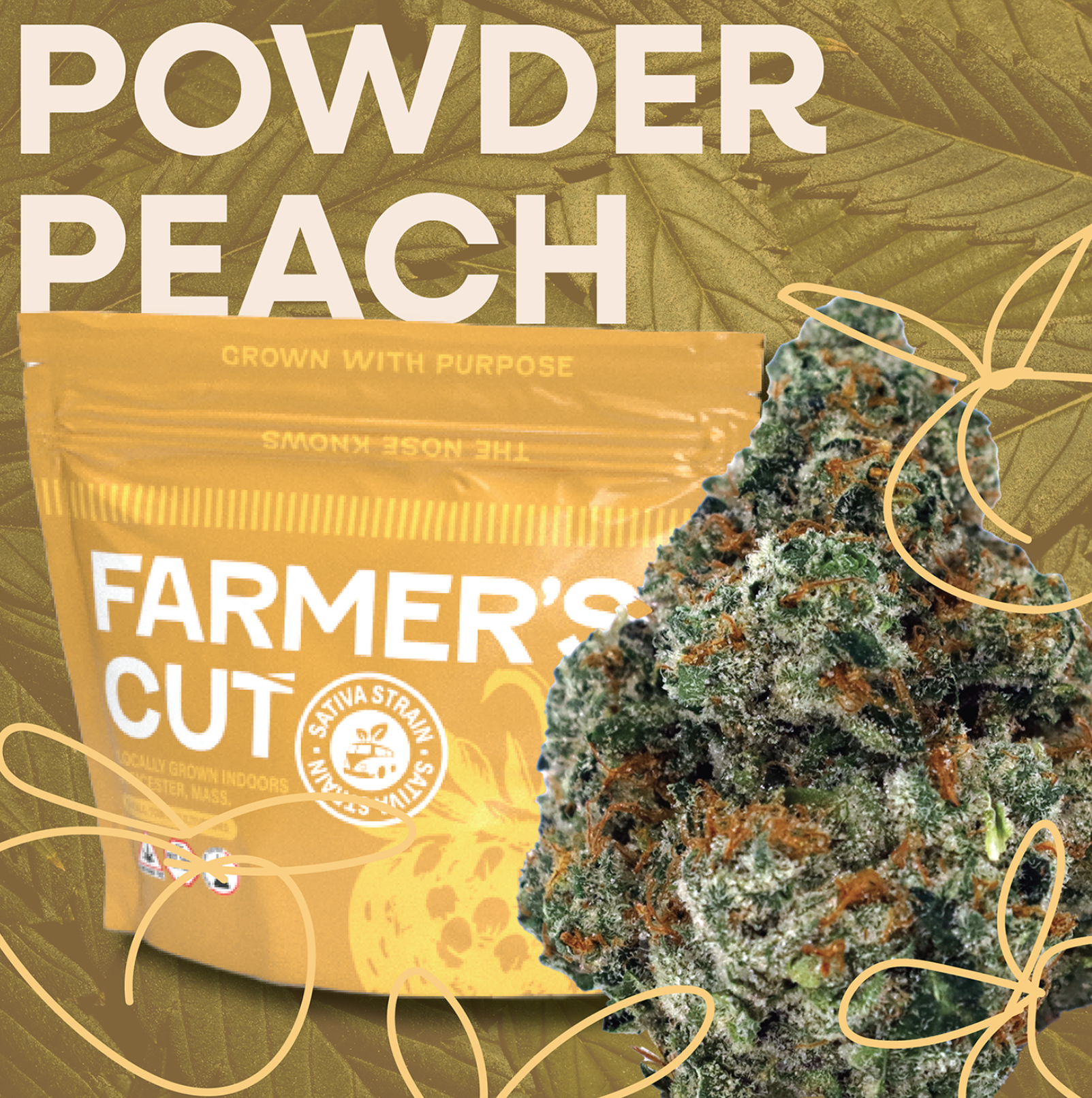 Powder Peach | 28g