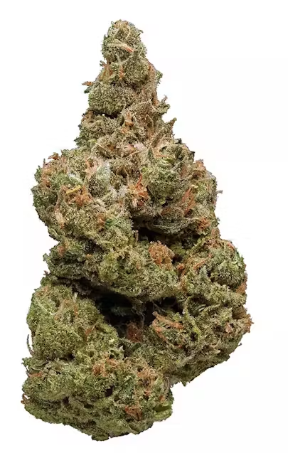 $5 - Exodus Cheese - (H)