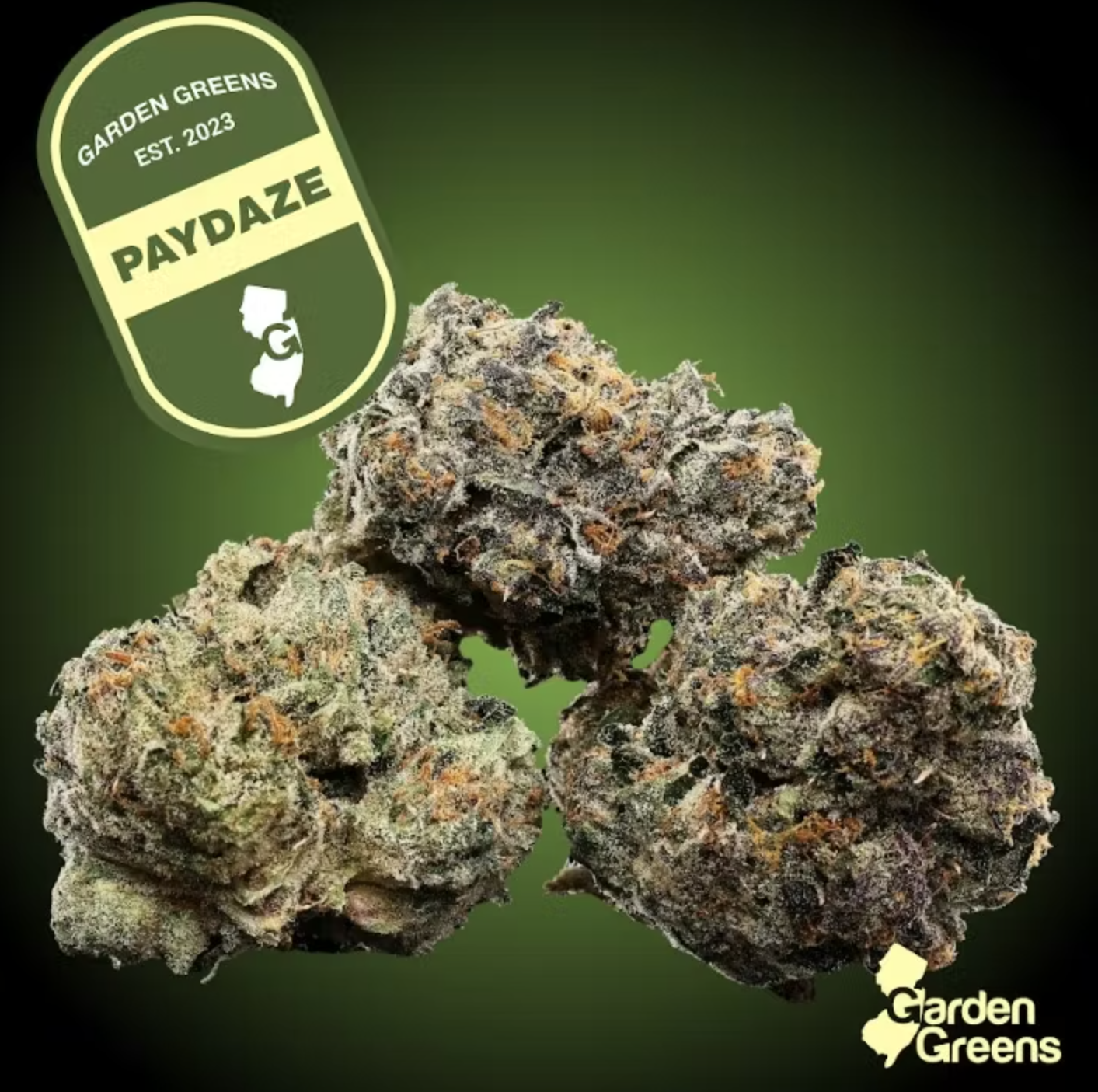Garden Greens | PayDaze | Flower | Big Buds | 3.5g (I)