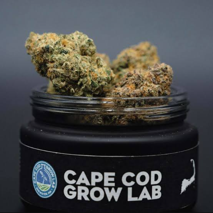 Cape Cod Grow Lab - Lion's Breath