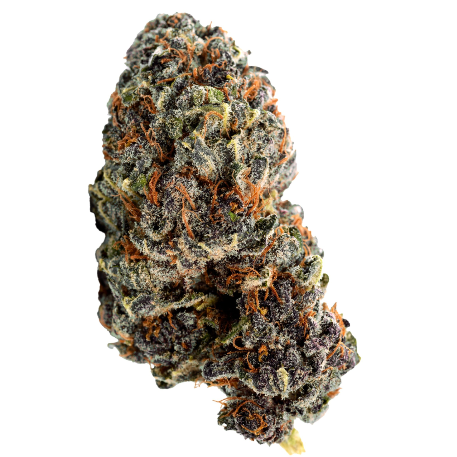 Georgia Pie (Gellati x Kush Mintz) | 7g
