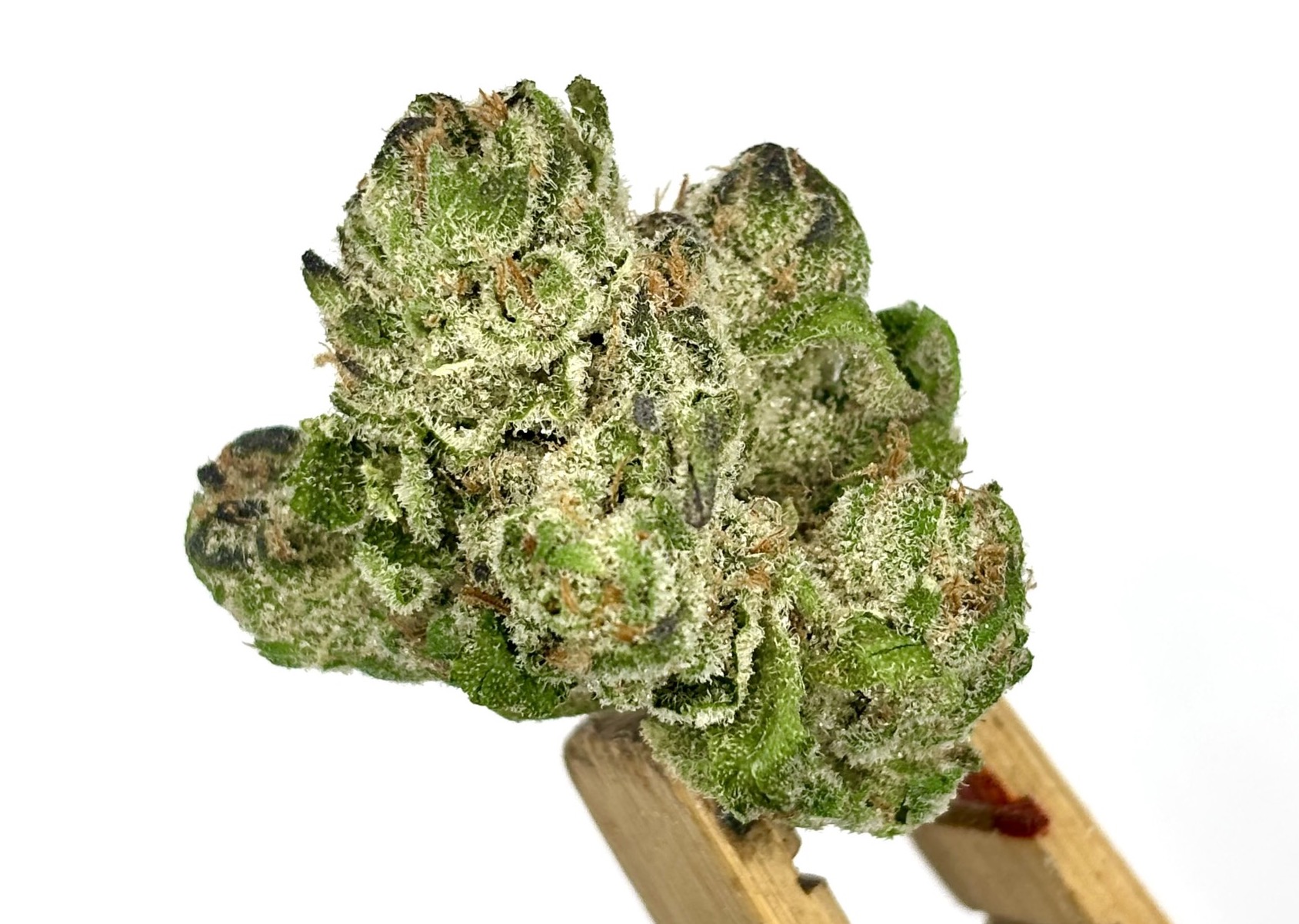 DogHouse | Crash Glow | Bulk Flower | Platinum Tier