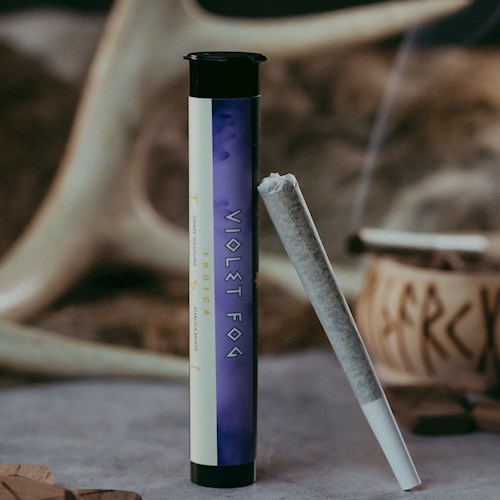 Violet Fog [DOH] 1pk - by Viking Cannabis