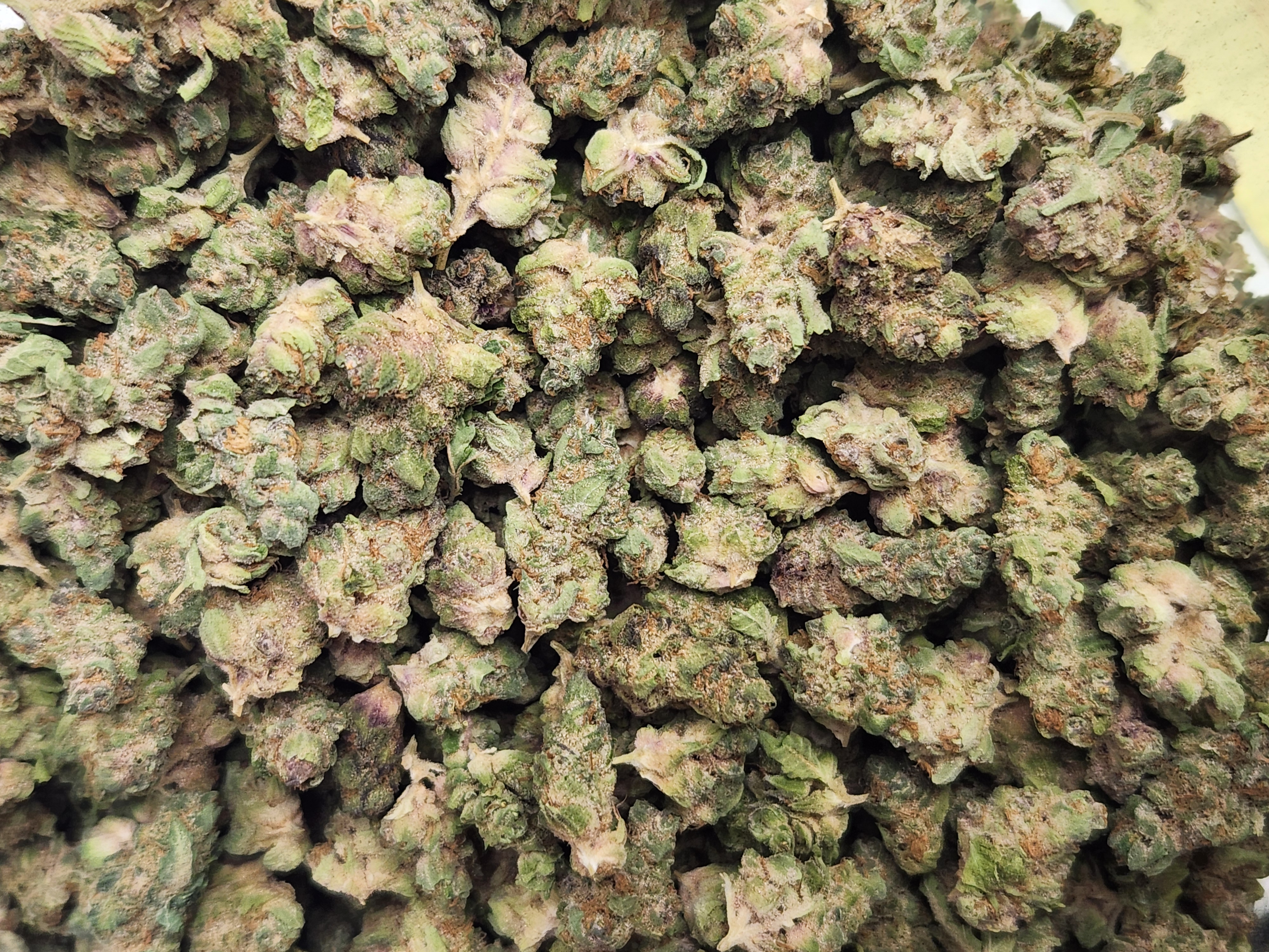 Blue Dream