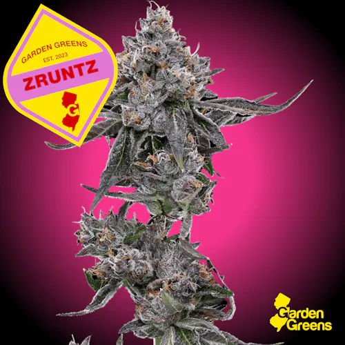 Garden Greens | Zruntz | Flower | Big Buds | 3.5g (H)