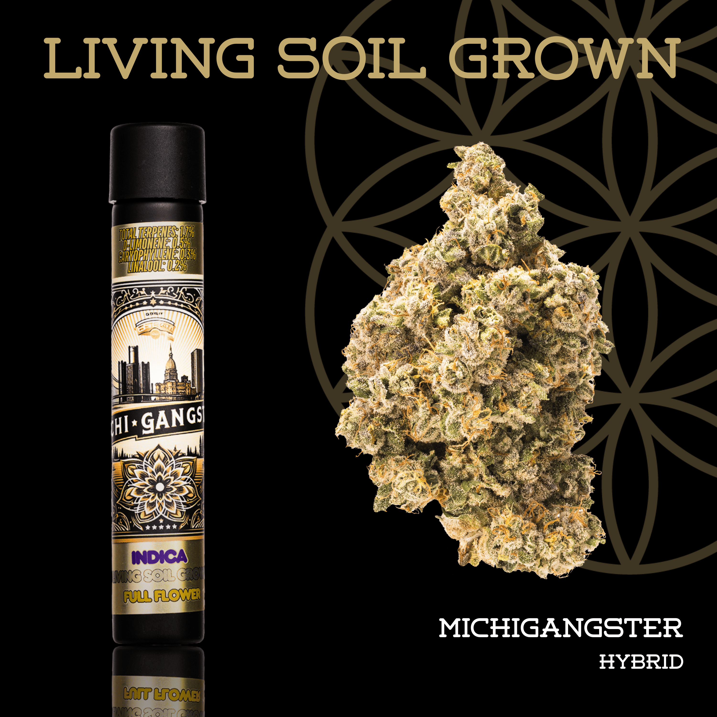 Michigangster Living Soil