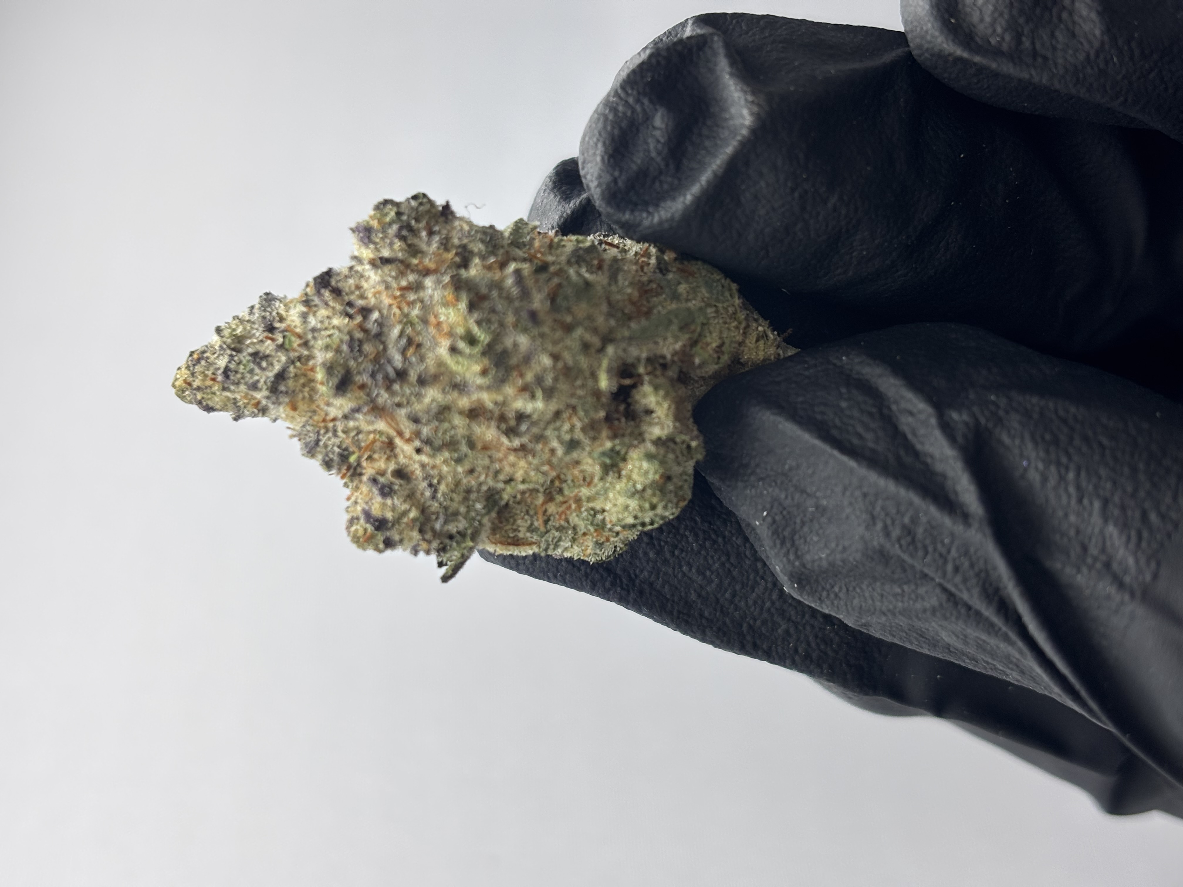 Sundae Bliss Flower Bulk