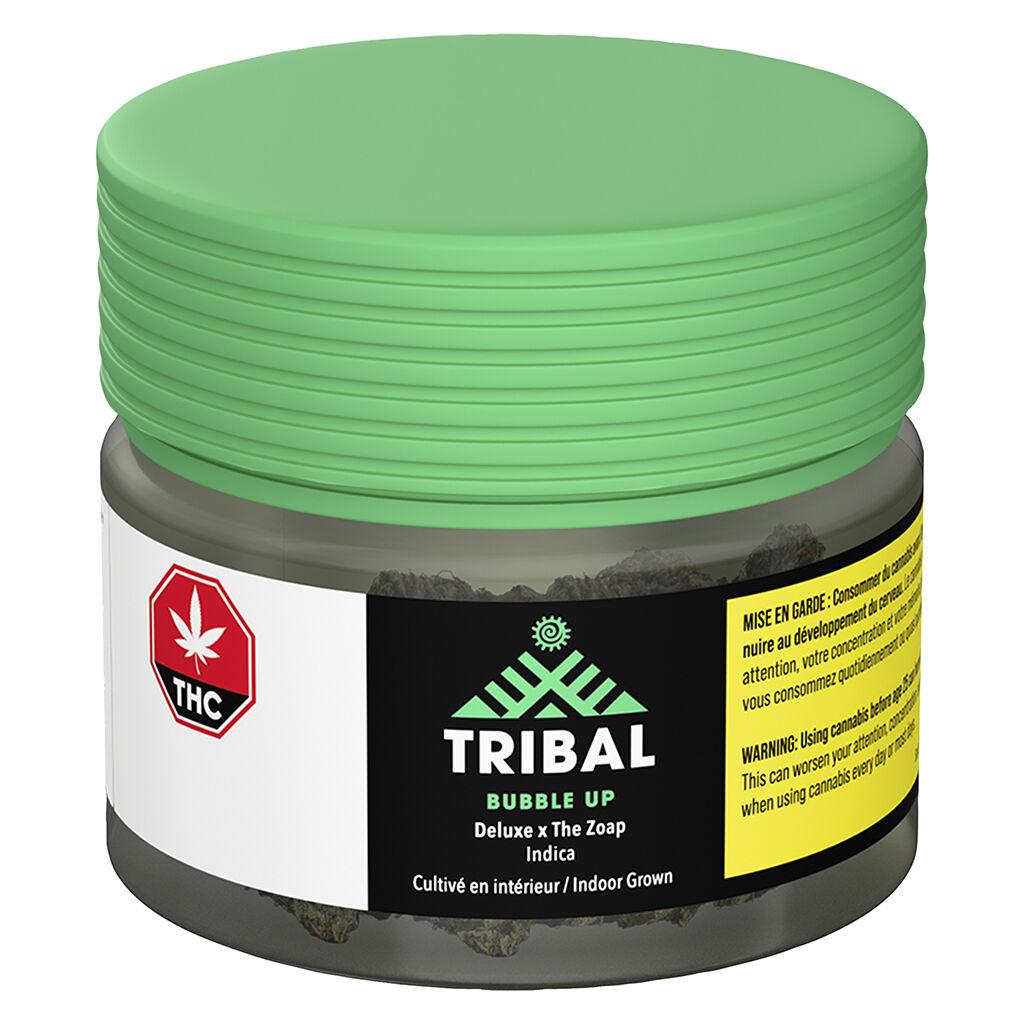Tribal - Bubble Up