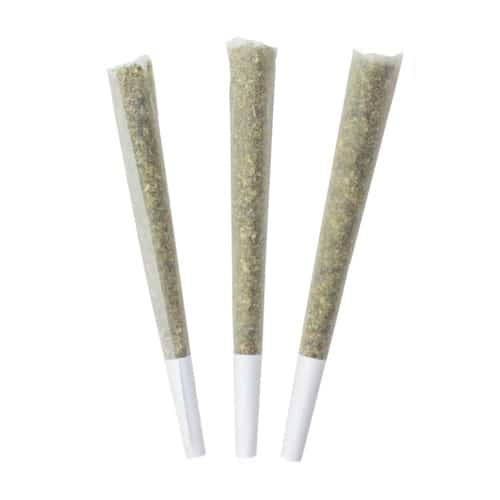 Choklit Park - Blueberry Yum Yum Pre Rolls - Indica - 3x1g