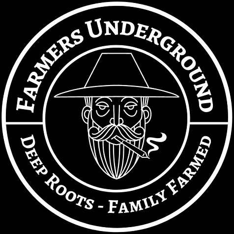 Groovy Dreams Pre Ground