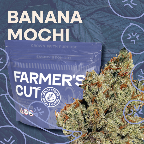 Banana Mochi | Flower