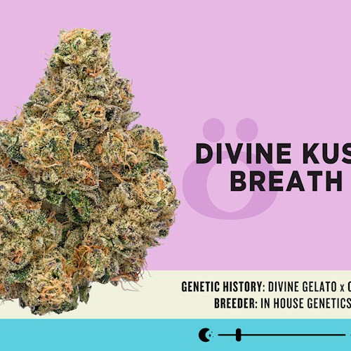 Skord Divine Kush Breath (Indica) 3.5g