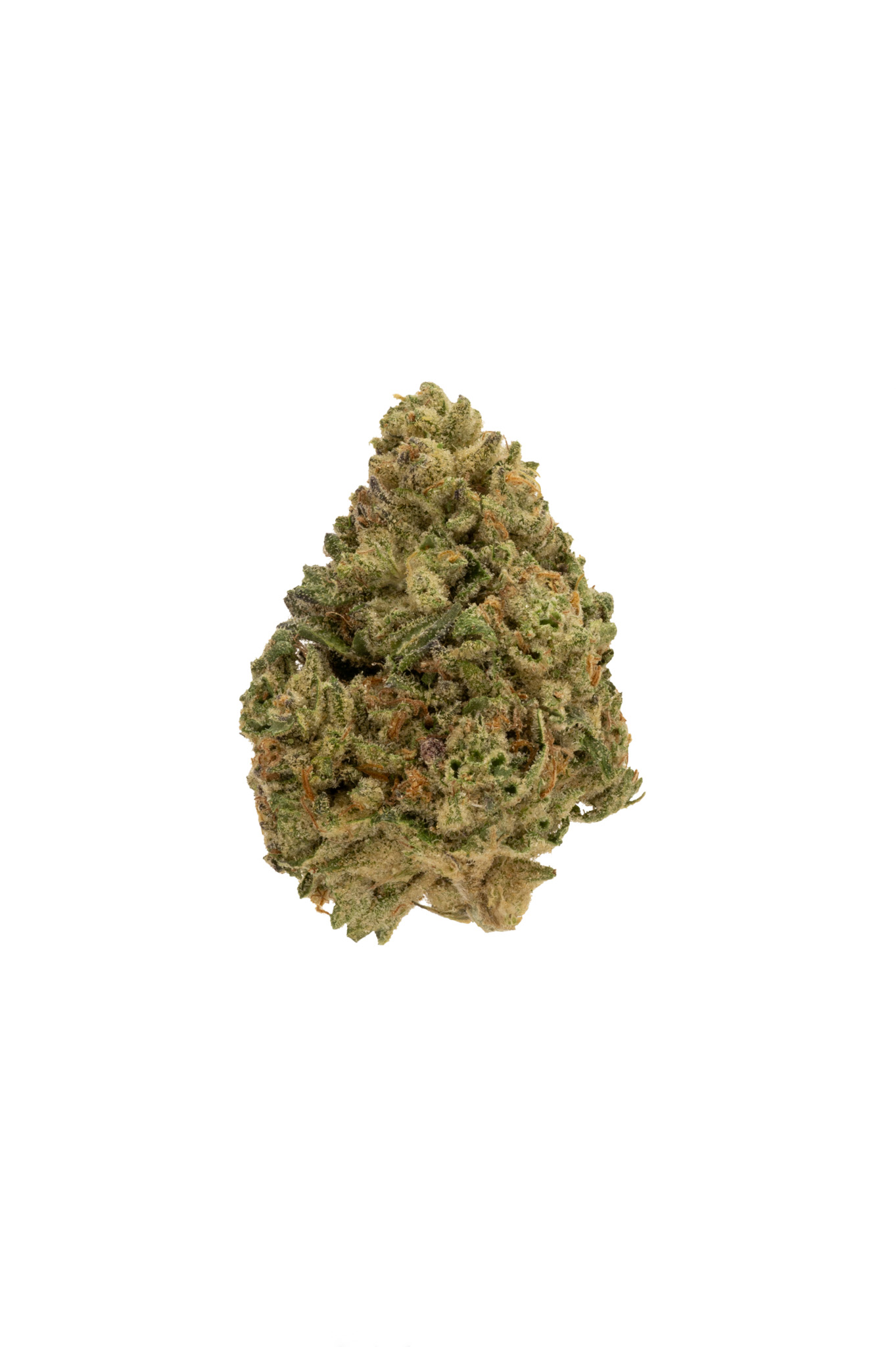 Jelly Cake (I) | Flower | 28g