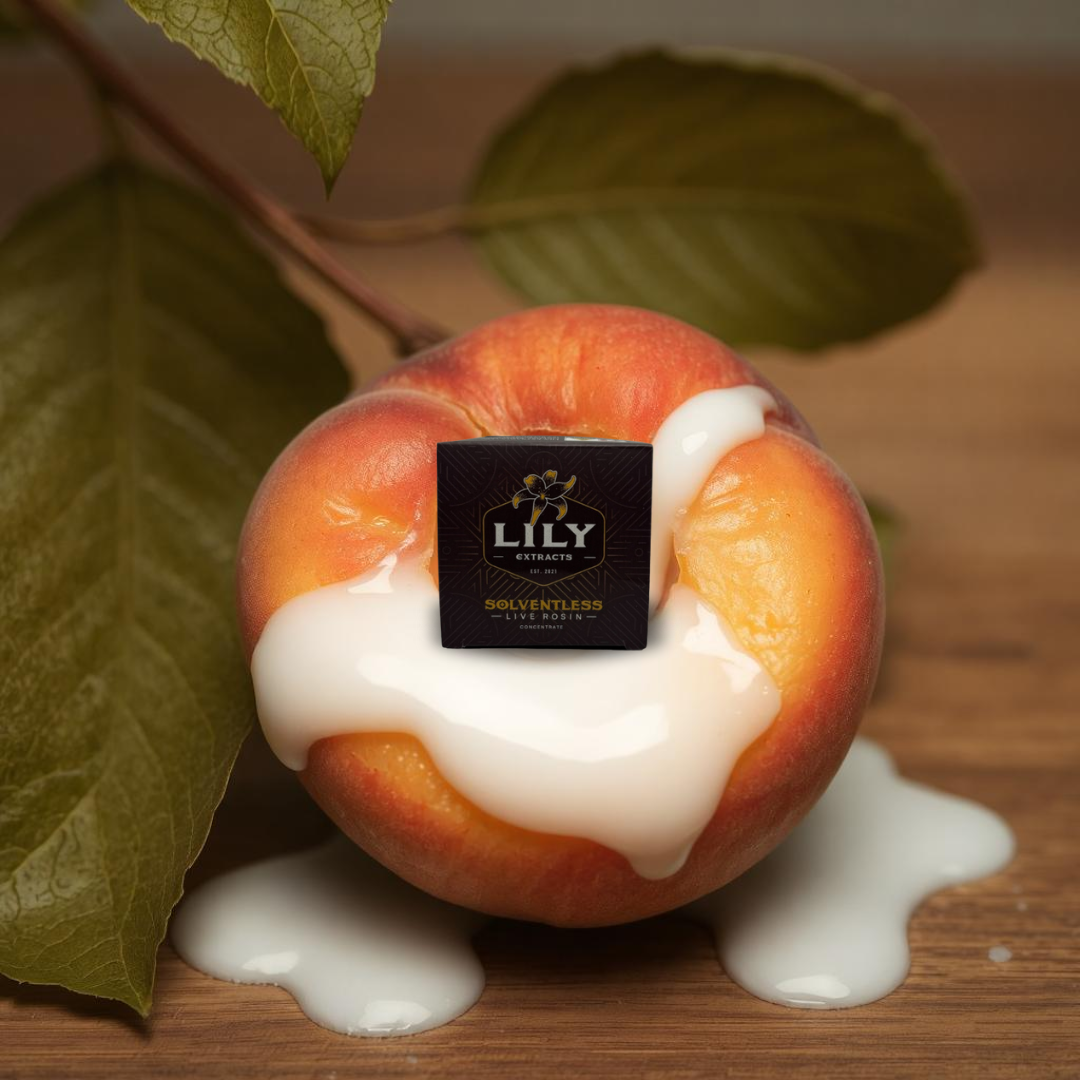 Lily Extracts-MEGA SQUIRT LR CC 0.5g