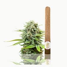 Left Coast | Monster Cookie | Infused Blunt