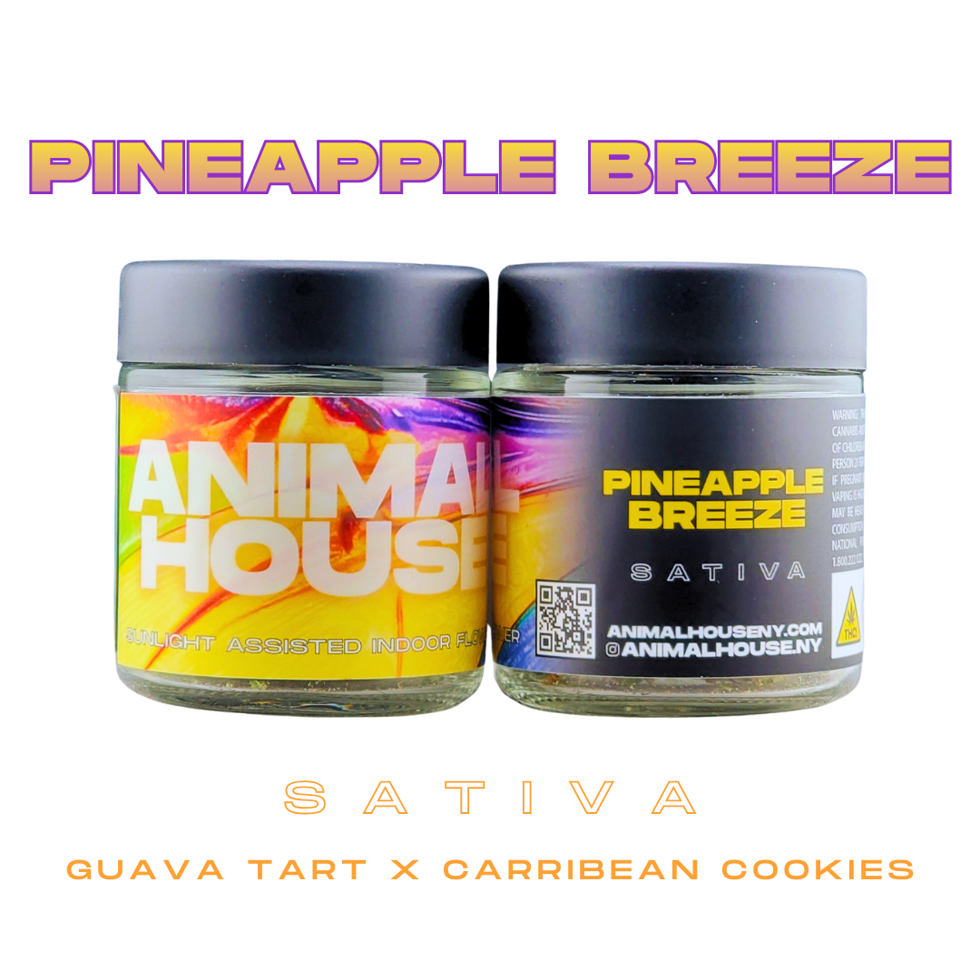 3.5g Flower | Pineapple Breeze