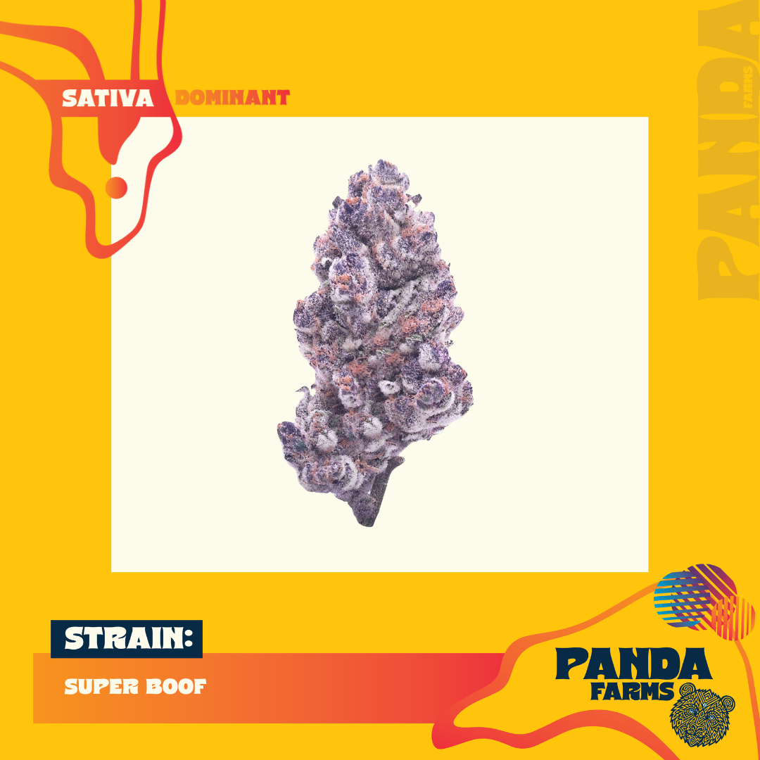 Super Boof | 3.5G