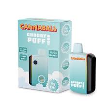 Cannabals | Chubby Puff AIO Vape | Rainbow Sherbert | 6g
